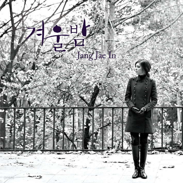 장재인 - 겨울밤 (디지털 싱글)