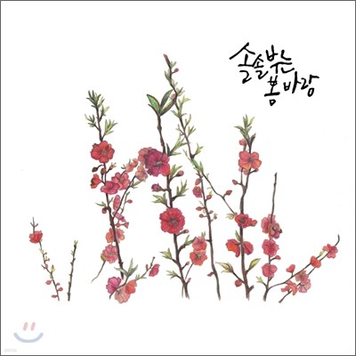 솔솔부는 봄바람 1집 - 봄이 왔어요