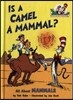 Is a Camel a Mammal?