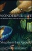 Wonderful Life