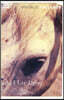 As I Lay Dying