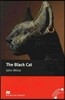 Black Cat