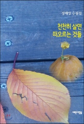 천천히 살면 떠오르는 것들