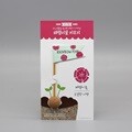 (아이디어 씨앗) 씨드깃발 - 패랭이꽃