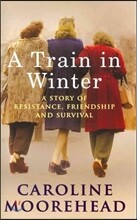A Train in Winter
