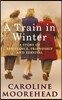 A Train in Winter