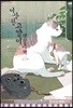 이상한 고양이 연립주택 2