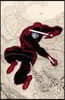 Daredevil By Mark Waid - Vol. 1