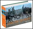 African Odyssey: 365 Days