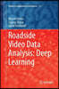 Roadside Video Data Analysis: Deep Learning