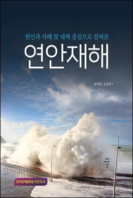 연안재해