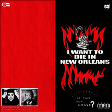 Suicideboys - I Want To Die In New Orleans (LP)
