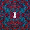 로다운 30 (Lowdown 30) - 3집 B [레드 컬러 LP]