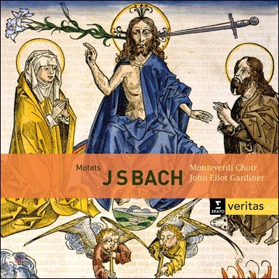 John Eliot Gardiner 바흐: 모테트 BWV 225-231, 칸타타 BWV 50, 118 (Bach: Motets, Cantatas)