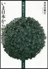 いま日本から興す哲學