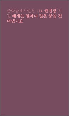 베개는 얼마나 많은 꿈을 견뎌냈나요 - 문학동네시인선 114