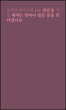 베개는 얼마나 많은 꿈을 견뎌냈나요 - 문학동네시인선 114