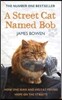 Street Cat Named Bob