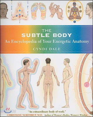 The Subtle Body: An Encyclopedia of Your Energetic Anatomy