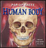 Pop-up Facts: Human Body