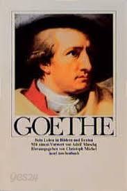 Goethe: Sein Leben in Bildern und Texten (Insel Taschenbuch) (German) Perfect Paperback