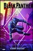Marvel Action: Black Panther: Stormy Weather (Book One)