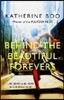Behind the Beautiful Forevers