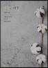 사랑, 너는