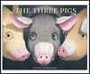 The Three Pigs : 2002 칼데콧 수상작