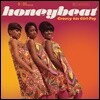 1960년대 걸-팝 보컬 그룹 음악 모음집 (Honeybeat: Groovy 60s Girl Pop) [바이올렛 컬러 LP]
