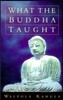 What the Buddha Taught