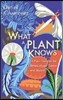 What a Plant Knows