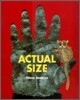 Actual Size