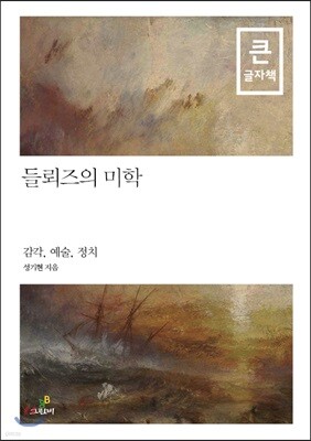 들뢰즈의 미학 큰글자책
