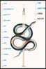 The Undying: Pain, Vulnerability, Mortality, Medicine, Art, Time, Dreams, Data, Exhaustion, Cancer, and Care