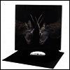 White Moth Black Butterfly - Atone (LP)