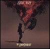 The Chainsmokers (체인스모커스) - 2집 Sick Boy