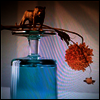 Beirut - Gallipoli (LP)