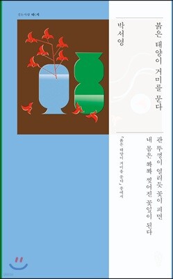 붉은 태양이 거미를 문다