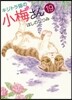 キジトラ猫の小梅さん 19