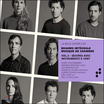 Eric Le Sage 브람스: 클라리넷과 호른을 위한 작품집 (Brahms Integrale Musique de Chambre Vol.3)