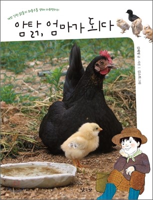 암탉, 엄마가 되다