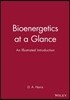 Bioenergetics at a Glance