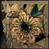 Pegi Young/The Survivors - Bracing For Impact (180G)(LP)