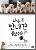 나는 안내견 공부 중입니다