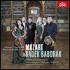 Radek Baborak 모차르트: 프렌치호른을 위한 2중주, 신포니아 콘레츠탄테 (Mozart: Music for French Horn KV297b, K487)