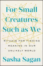 For Small Creatures Such as We: Rituals for Finding Meaning in Our Unlikely World
