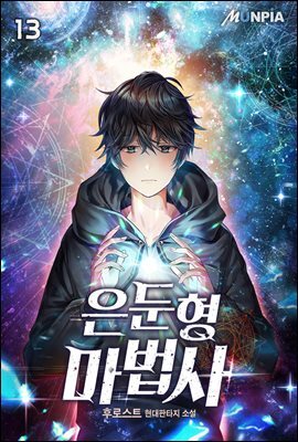 은둔형 마법사 13권