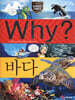Why? 와이 바다