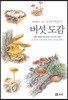 버섯 도감: 세밀화로 그린 보리 어린이 도감